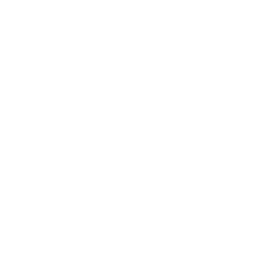 Dessin rose blanche